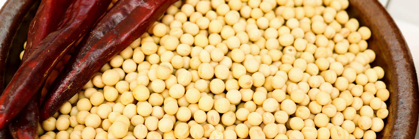 CA888亚洲城官网